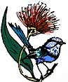 Blue Wren Denmark