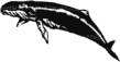 Info click above. Images click below